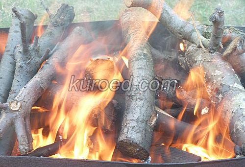 Шашлык из свинины, пошаговое приготовление - добавляем в огонь дрова