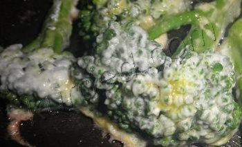Жареная брокколи, пошаговое приготовление - обвалять в муке и в яйце