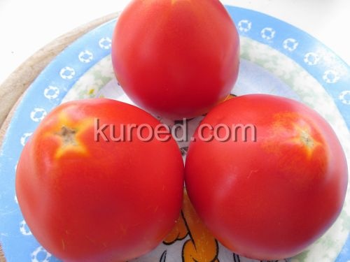 Фаршированные помидоры – кулинарный рецепт