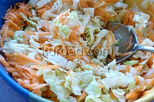 Салат из свежей капусты рецепт с фото очень вкусный нежный